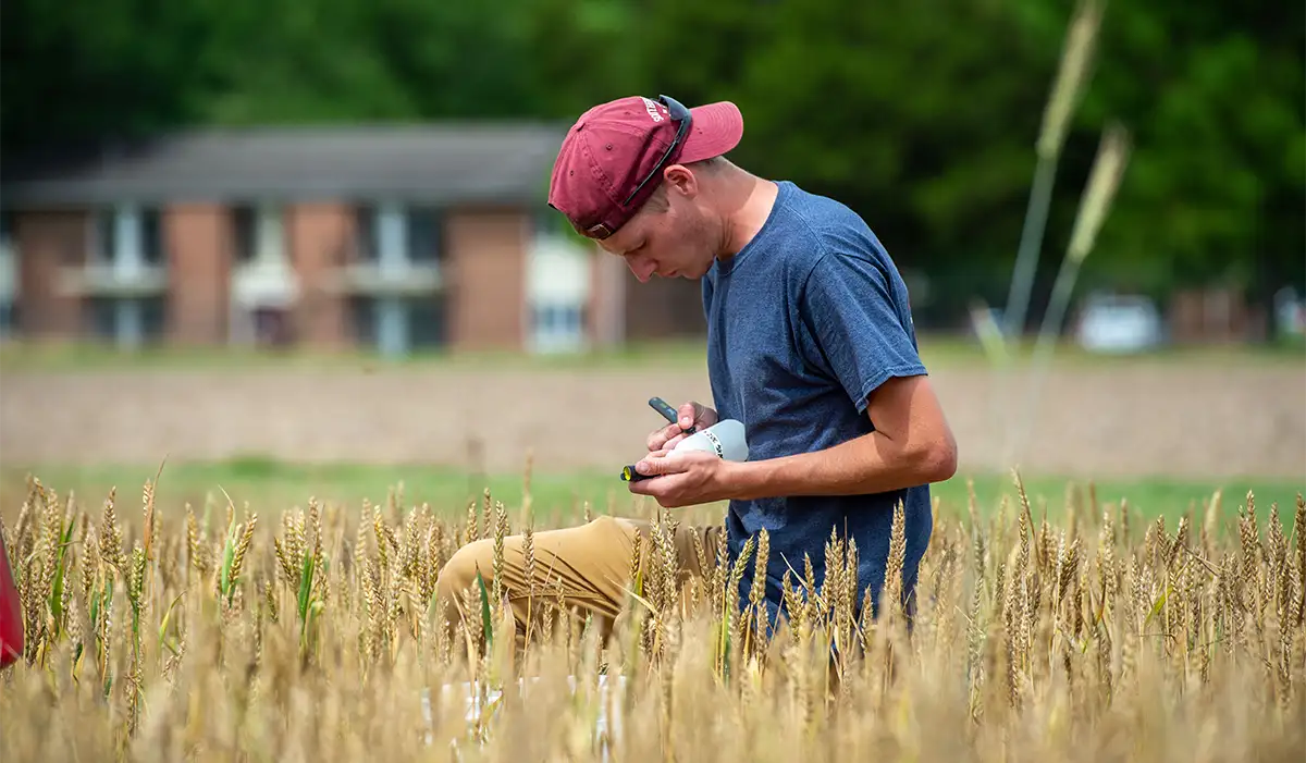 AG Ground Water Testing