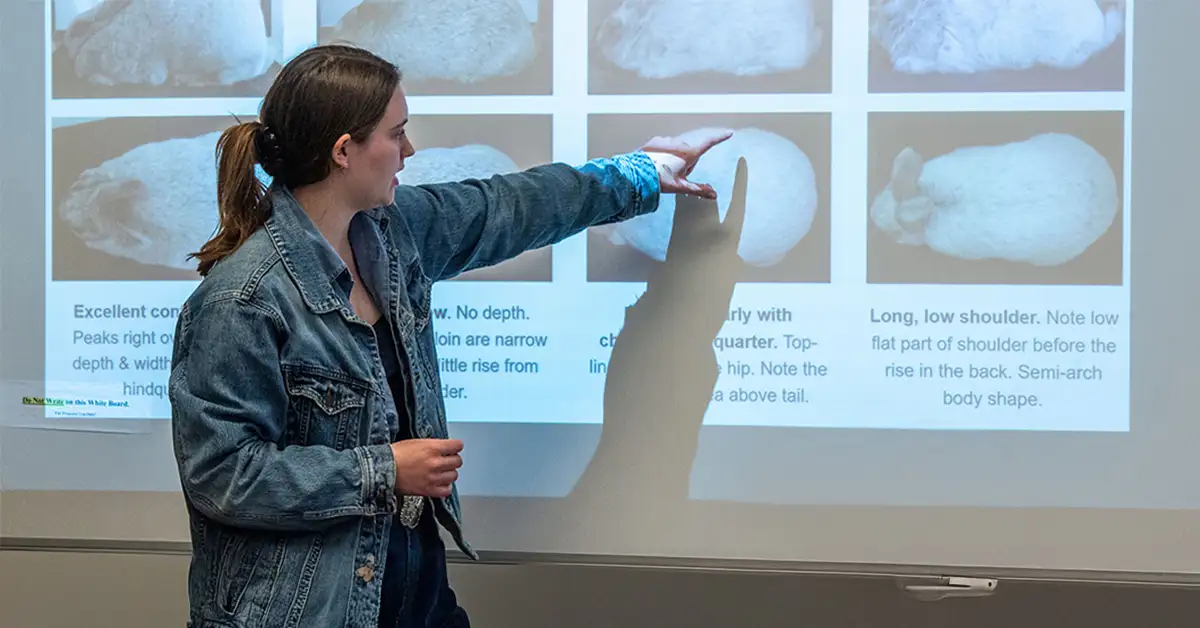 instructor lecturing to class pointing to presentation on screen