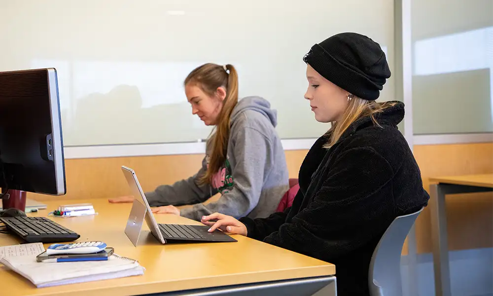 students studying at desk