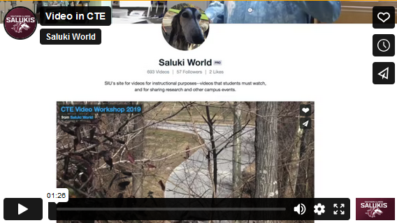 Saluki World Homepage